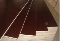 Brown Film Faced Plywood