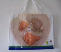 PP Shopping Bag