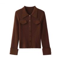 2026 Lady's Knitted Shirt