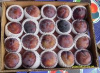 Fresh Plum