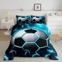 Hot Sale Winter 100% Polyester Comforter