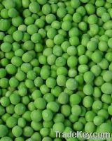 Chickpeas & Green Peas