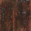 Rusted Tiles