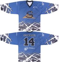 Ice Hockey Jersey / Sports wear Jersey For Ice Hockey Team