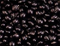 Black Turtle Beans