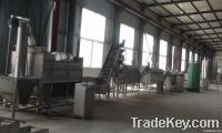 Fresh Potato Chips Production Line