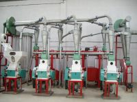 30t/h maize machine