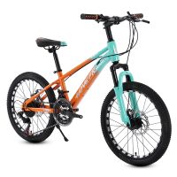 Boy Mountain Bike