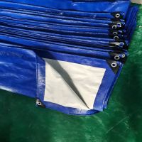 Tarpaulin