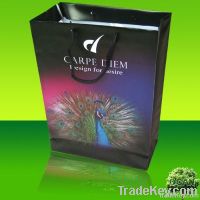 Recyclable Pp gift Bag, pp bag