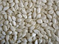 Snow White Pumpkin Seeds