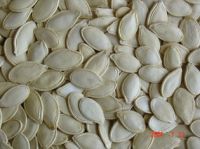 Shine-skin Pumpkin Seeds