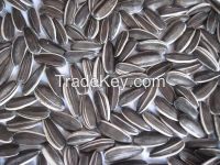Wholesale High Quality Sunflower Seeds