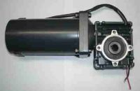 Worm Gear Motor