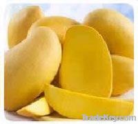 Adaulfo Mangoes