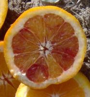 Oranges