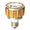 Power LED Bulbs