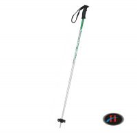 Ski Poles