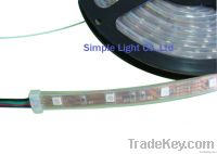 Silicone tube Flexible LED Strip