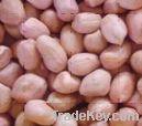 Dry Fruits, Nuts And Seeds (origin: China, Turkey, Saudi Arabia)