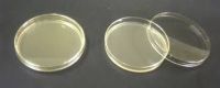 Sugar Broth Base