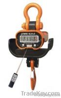 Electronic Crane Scale