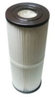 Spa filter