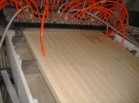 WPC door board profile machine