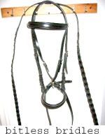 BITLESS BRIDLE