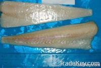 alaska pollock fillet