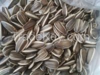 Sunflower seeds, kernels