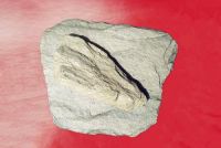 XHGK High Quality Feldspar Powder