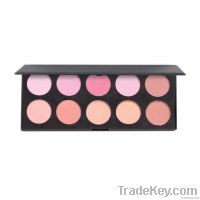 Artist Blush Palette: 10 Colors