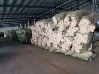 Sheep Wool