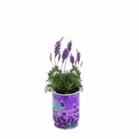 Can Flower