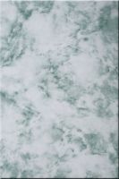 ceramic wall tile