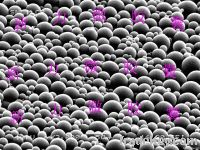 Microcapsule