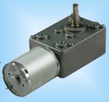 DC Worm Gear Motor