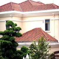 roof tile