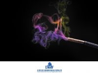 Lavender Fragrance (For Incense Sticks)