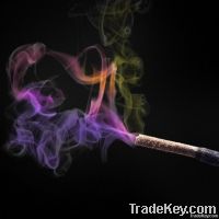 Incense Rose Fragrance