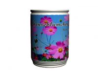 Can Flower, Magic Flower, Mini Plant