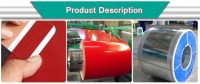 Building material roof sheet Ral Color PPGI Prepainted Galvanized Steel Coil