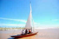 Sailing Boat Glama