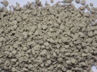 Cat Litter