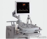 3D/4D Color Doppler