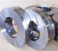 Stainless Steel Strips