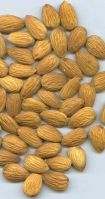 Almond Supplier | Almond Exporter | Almond Manufacturer| Almond Trader | Almond Buyer | Almond Importers | Import Almond