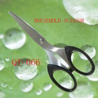 Stainless Steel Scissors