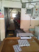 Chicken Egg laying plant Automatic